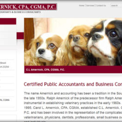 <h3><a href="http://clacpa.com" target="_blank">Visit Website</a></h3>